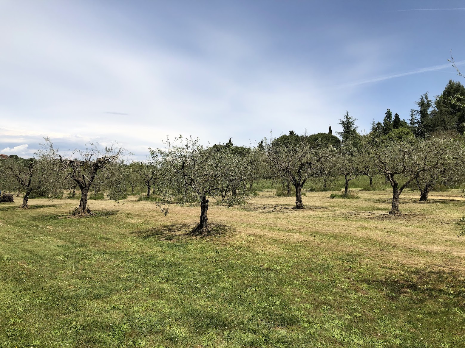 Poggio Tempesta